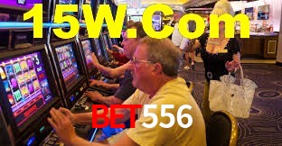 Sports Statistics Bet556
