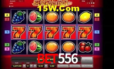 Segurança 2FA Bet556